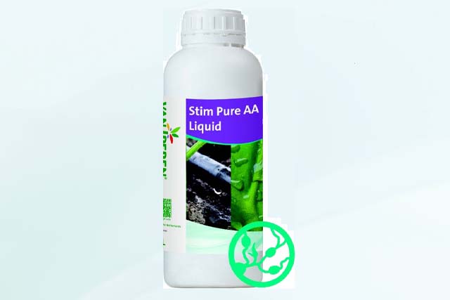 Stim Pure AA Liquid