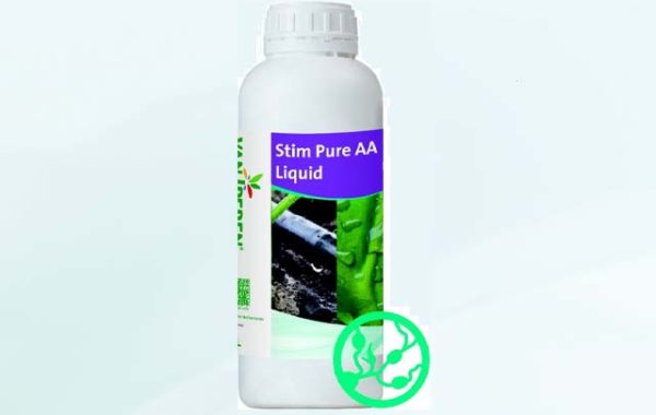 Stim Pure AA Liquid